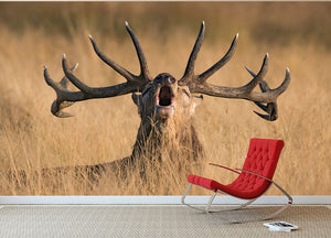 Antler Ready to Rut Wall Mural Wallpaper - Canvas Art Rocks - 2