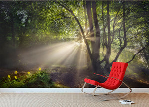 The Morning Light Wall Mural Wallpaper - Canvas Art Rocks - 2