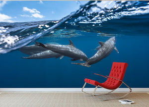 Dolphins Wall Mural Wallpaper - Canvas Art Rocks - 2