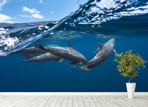 Dolphins Wall Mural Wallpaper - Canvas Art Rocks - 4