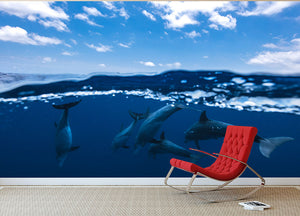 Between Air And Water With The Dolphins Wall Mural Wallpaper - Canvas Art Rocks - 2