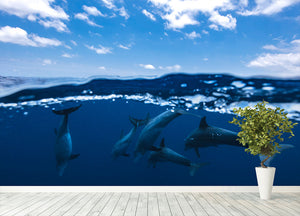 Between Air And Water With The Dolphins Wall Mural Wallpaper - Canvas Art Rocks - 4