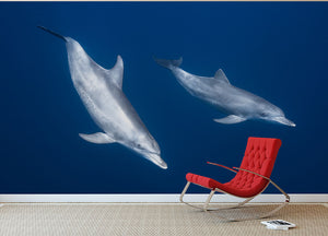 Bottlenose Dolphins Wall Mural Wallpaper - Canvas Art Rocks - 2