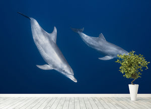 Bottlenose Dolphins Wall Mural Wallpaper - Canvas Art Rocks - 4