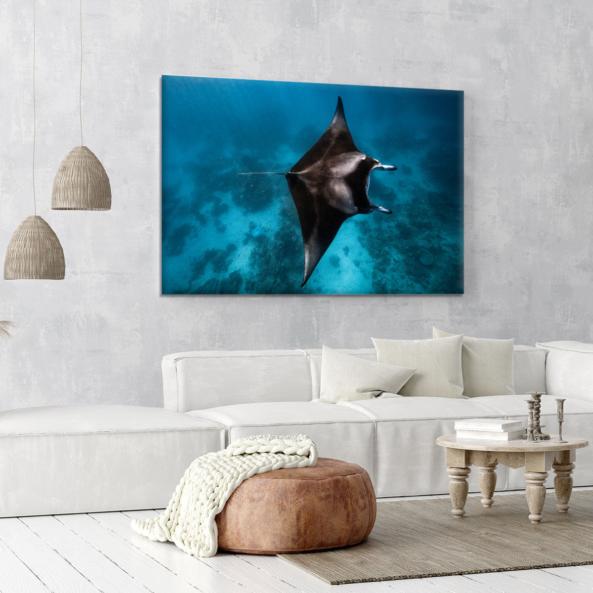 Manta Fly Canvas Print or Poster - Canvas Art Rocks - 6
