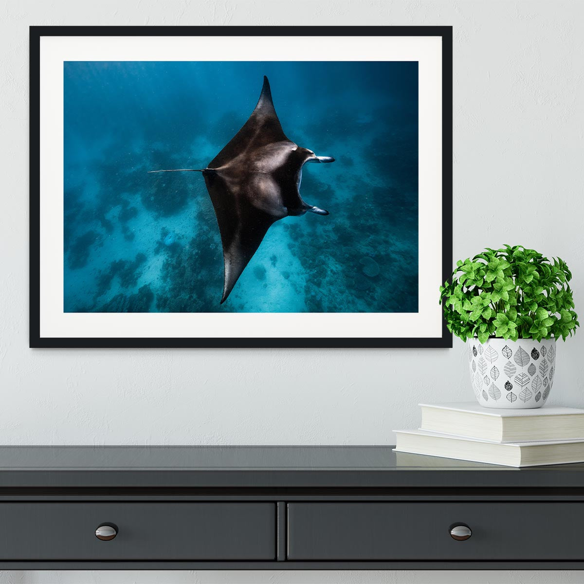 Manta Fly Framed Print - Canvas Art Rocks - 1