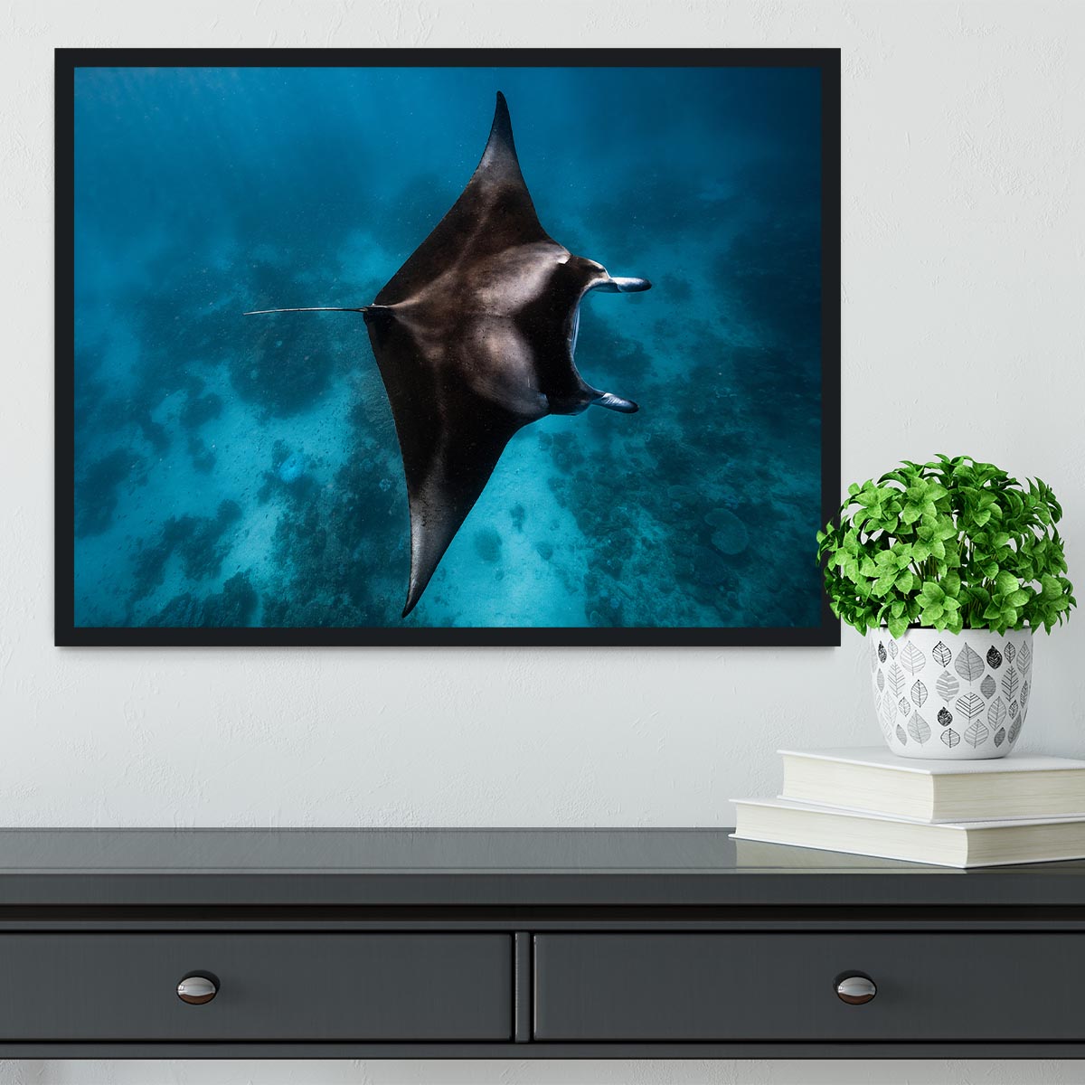 Manta Fly Framed Print - Canvas Art Rocks - 2