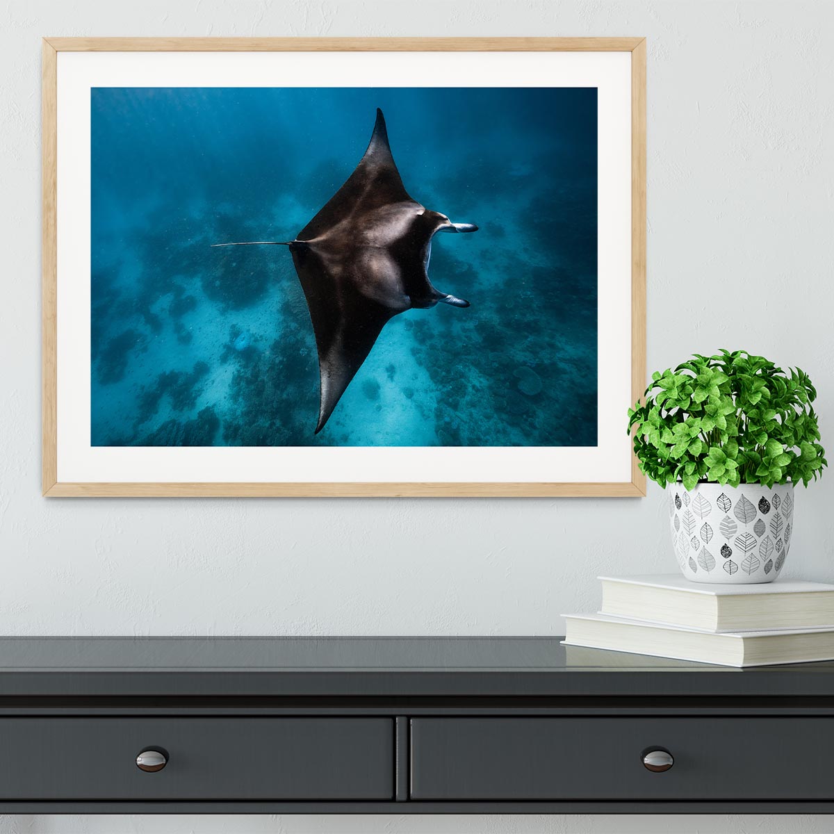 Manta Fly Framed Print - Canvas Art Rocks - 3