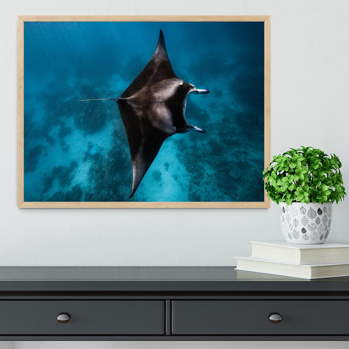 Manta Fly Framed Print - Canvas Art Rocks - 4