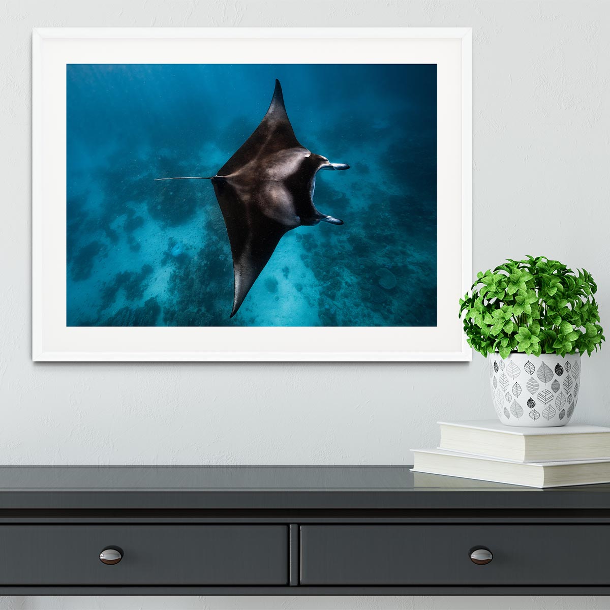 Manta Fly Framed Print - Canvas Art Rocks - 5