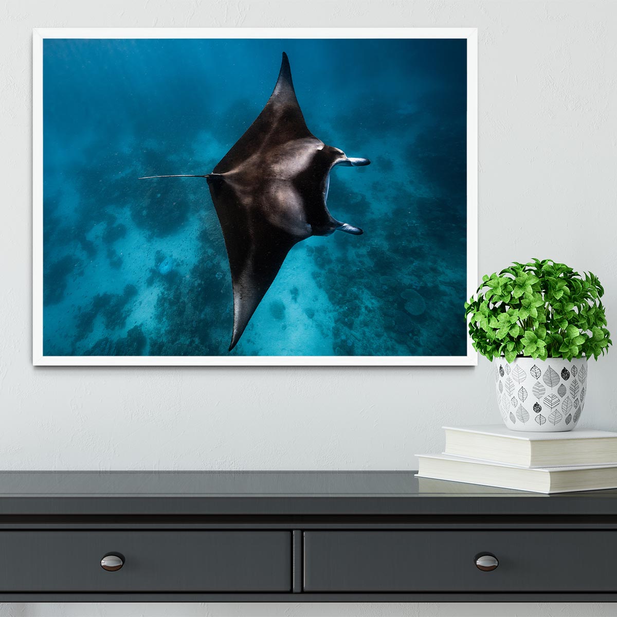 Manta Fly Framed Print - Canvas Art Rocks -6