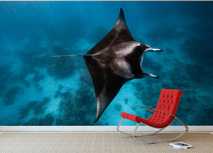 Manta Fly Wall Mural Wallpaper - Canvas Art Rocks - 2