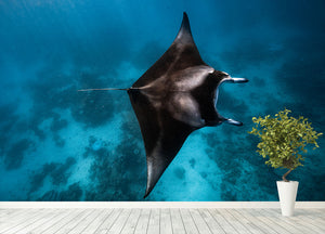 Manta Fly Wall Mural Wallpaper - Canvas Art Rocks - 4