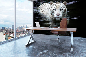 White Tiger Swimming Wall Mural Wallpaper - Canvas Art Rocks - 3