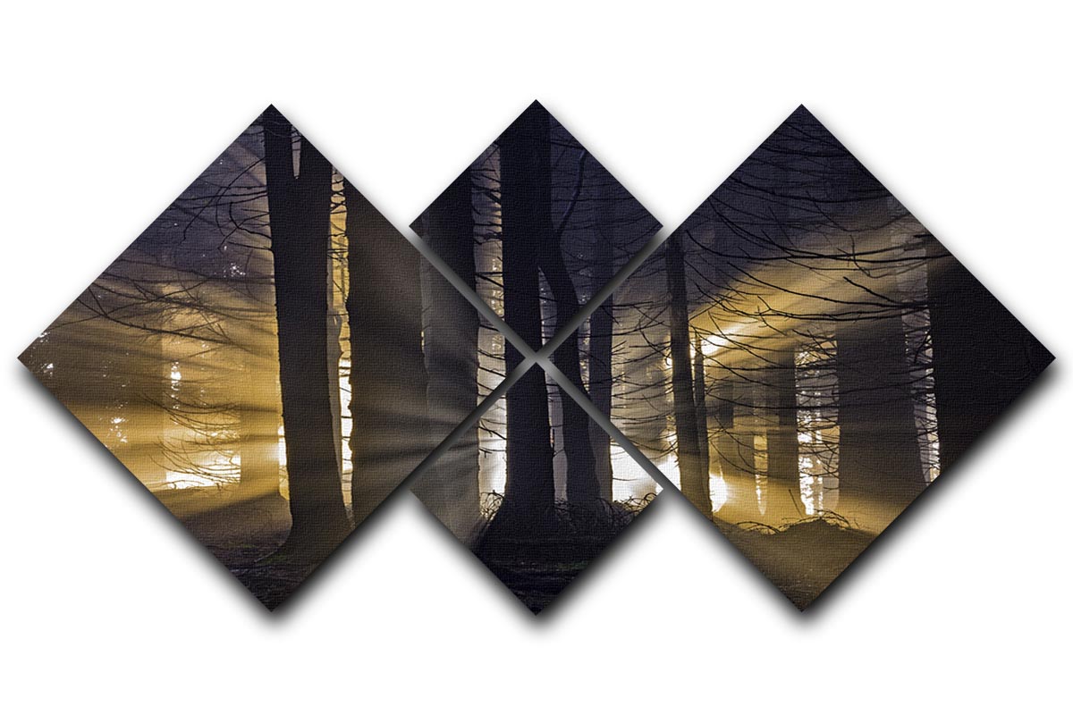 Autumn Forest 4 Square Multi Panel Canvas - Canvas Art Rocks - 1