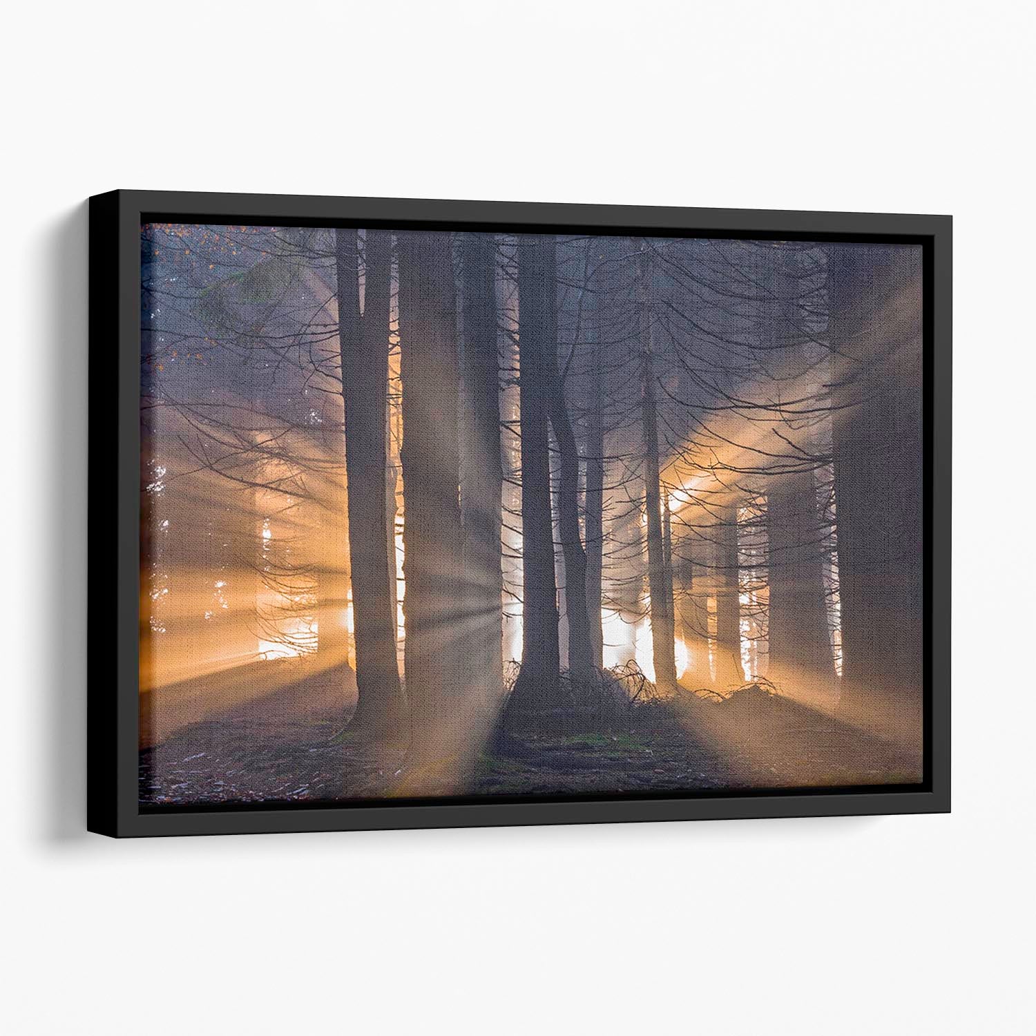 Autumn Forest Floating Framed Canvas - Canvas Art Rocks - 1