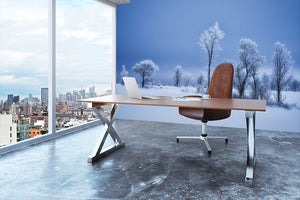 Winterland Wall Mural Wallpaper - Canvas Art Rocks - 3