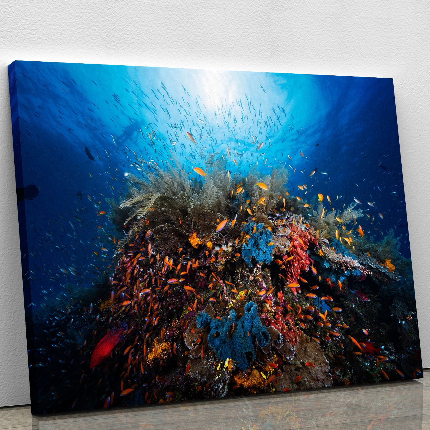 Apnea Canvas Print or Poster - Canvas Art Rocks - 1