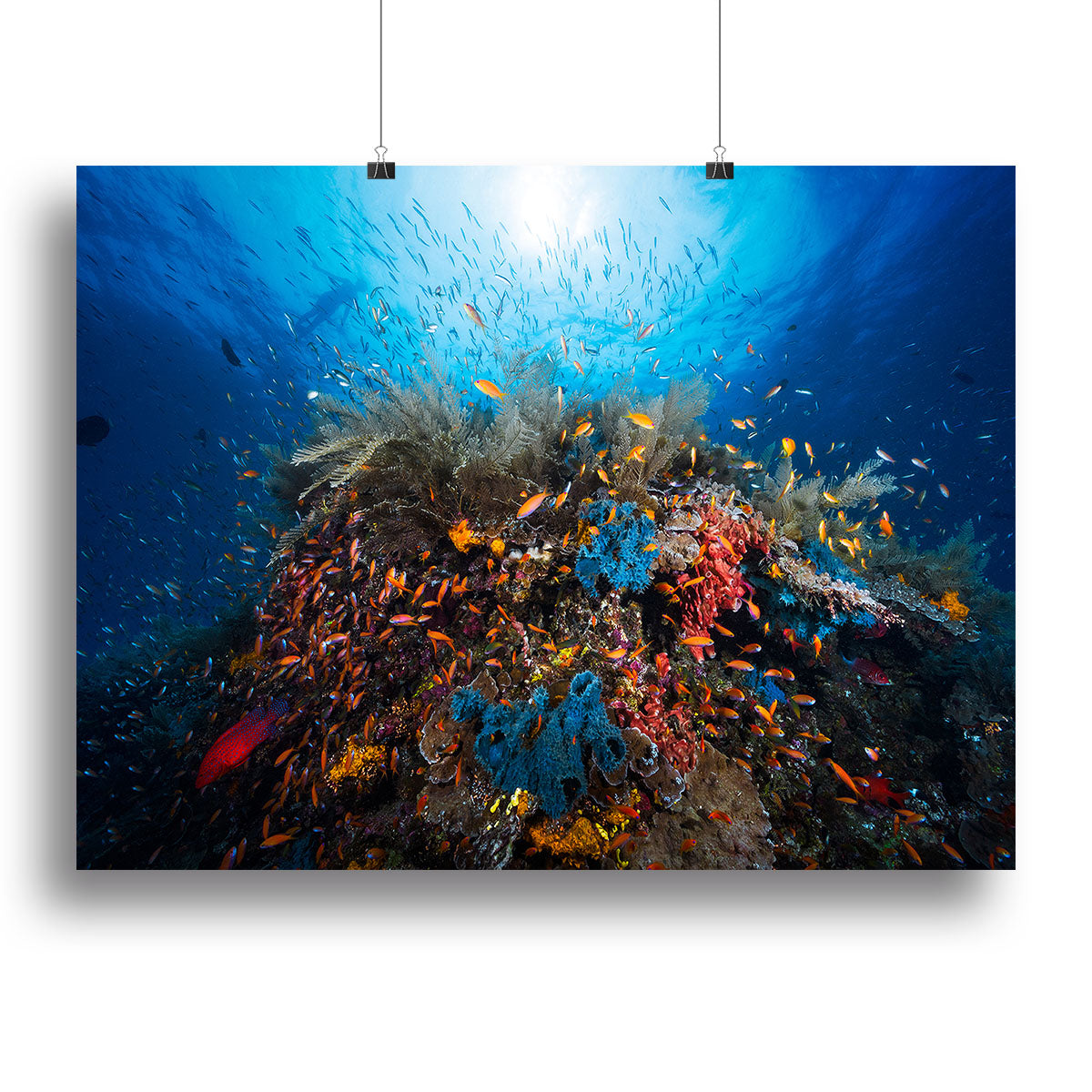 Apnea Canvas Print or Poster - Canvas Art Rocks - 2