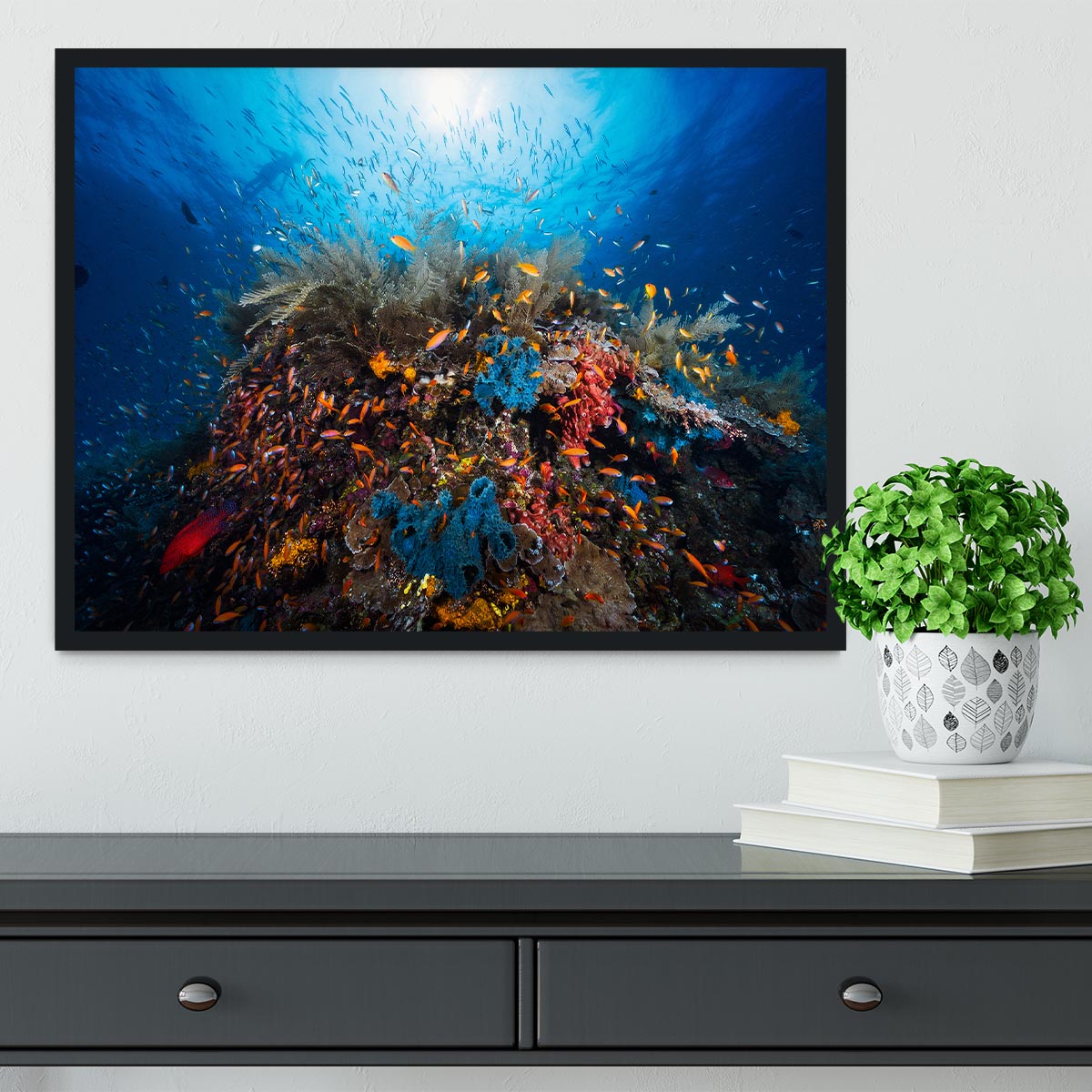 Apnea Framed Print - Canvas Art Rocks - 2