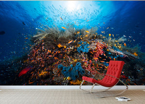 Apnea Wall Mural Wallpaper - Canvas Art Rocks - 2