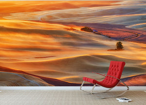 Golden Palouse Wall Mural Wallpaper - Canvas Art Rocks - 2