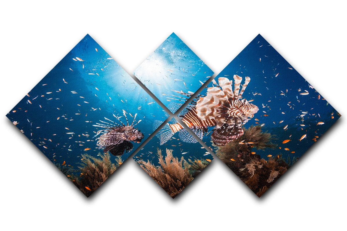 Lionfish 4 Square Multi Panel Canvas - Canvas Art Rocks - 1