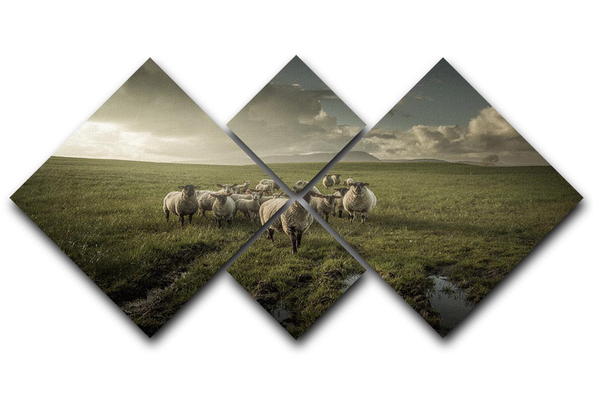 Sheep in field 4 Square Multi Panel Canvas - Canvas Art Rocks - 1