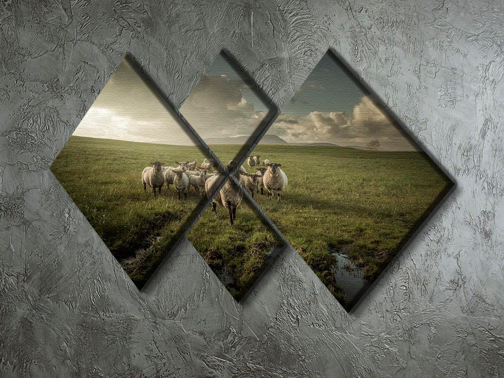 Sheep in field 4 Square Multi Panel Canvas - Canvas Art Rocks - 2