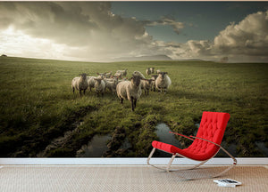 Sheep in field Wall Mural Wallpaper - Canvas Art Rocks - 2