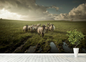 Sheep in field Wall Mural Wallpaper - Canvas Art Rocks - 4