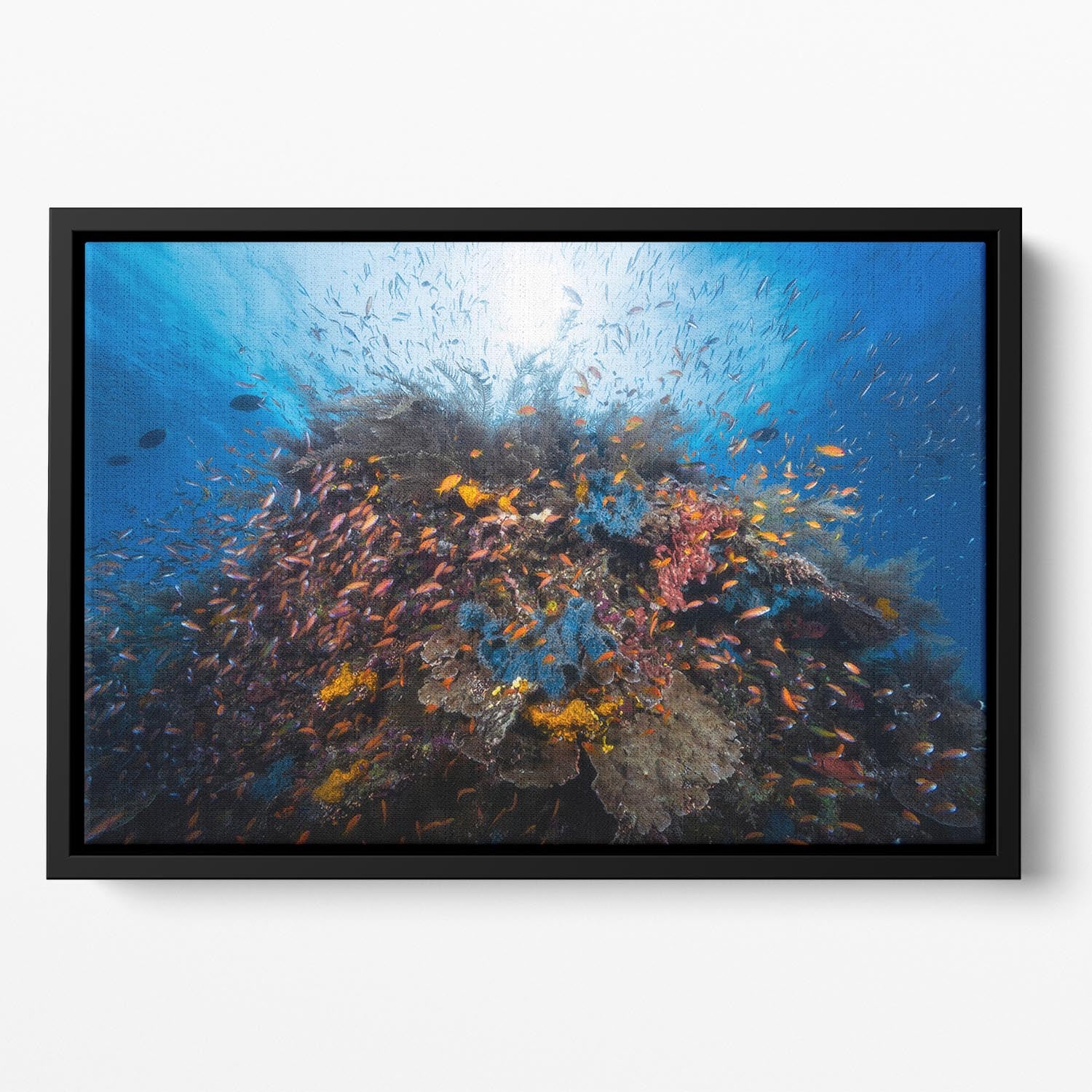 Life Explosion Floating Framed Canvas - Canvas Art Rocks - 2