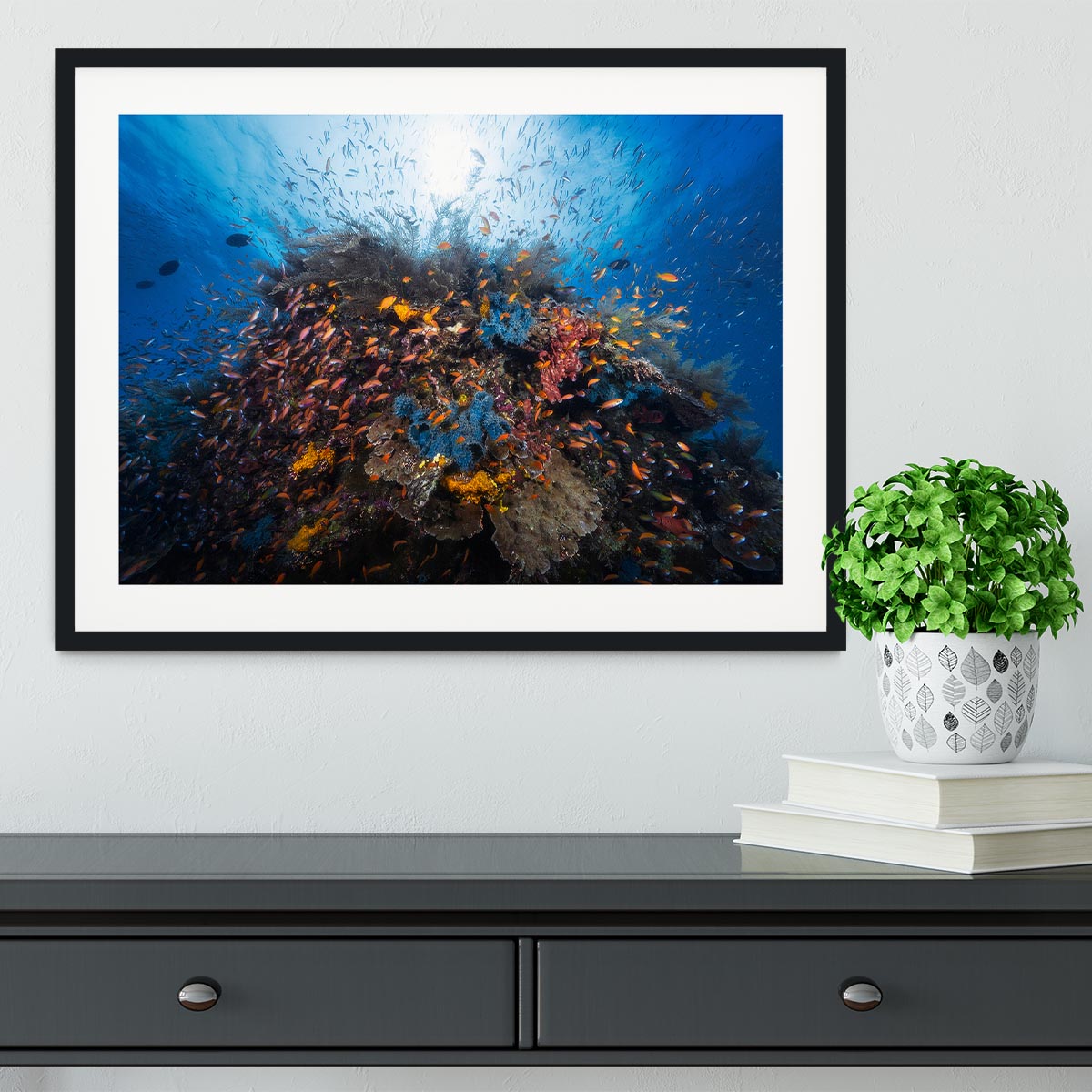 Life Explosion Framed Print - Canvas Art Rocks - 1