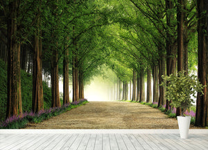 Metasequoia Road Wall Mural Wallpaper - Canvas Art Rocks - 4