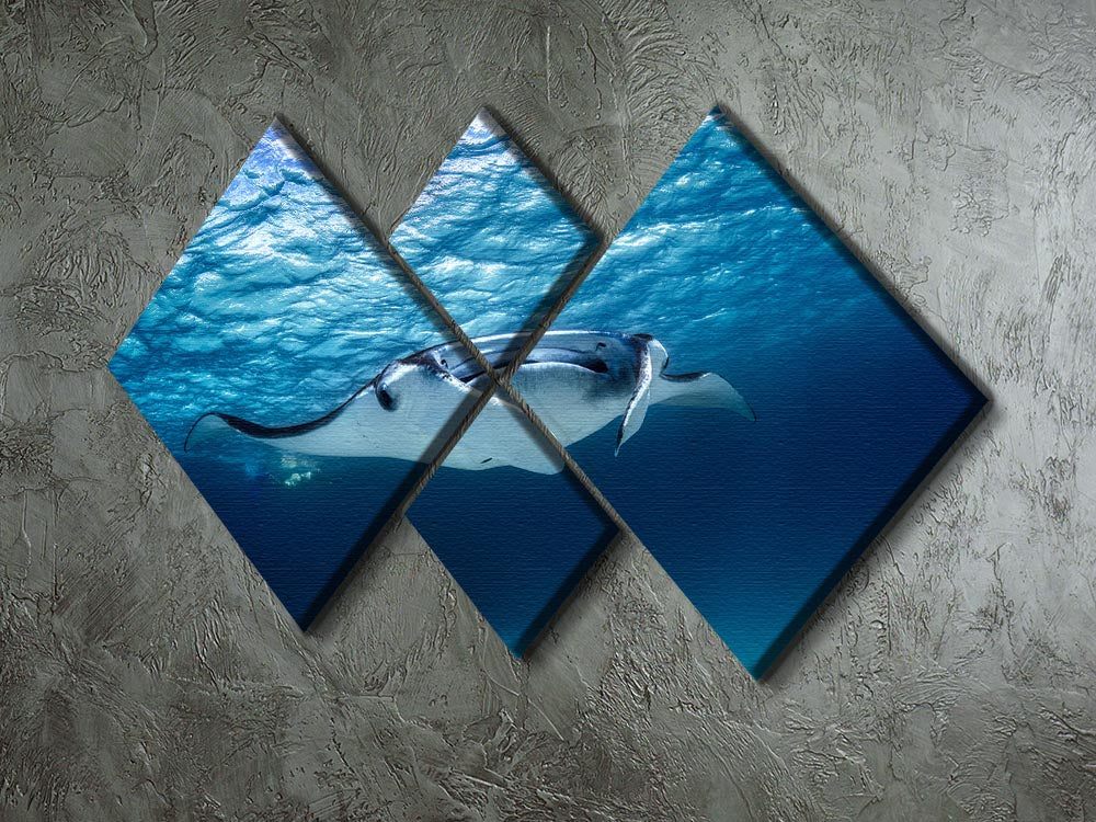 Manta Ray 4 Square Multi Panel Canvas - Canvas Art Rocks - 2