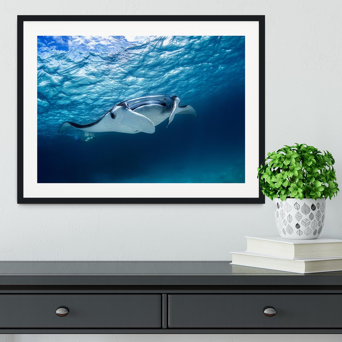 Manta Ray Framed Print - Canvas Art Rocks - 1