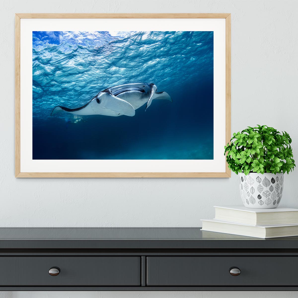 Manta Ray Framed Print - Canvas Art Rocks - 3