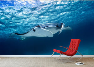 Manta Ray Wall Mural Wallpaper - Canvas Art Rocks - 2