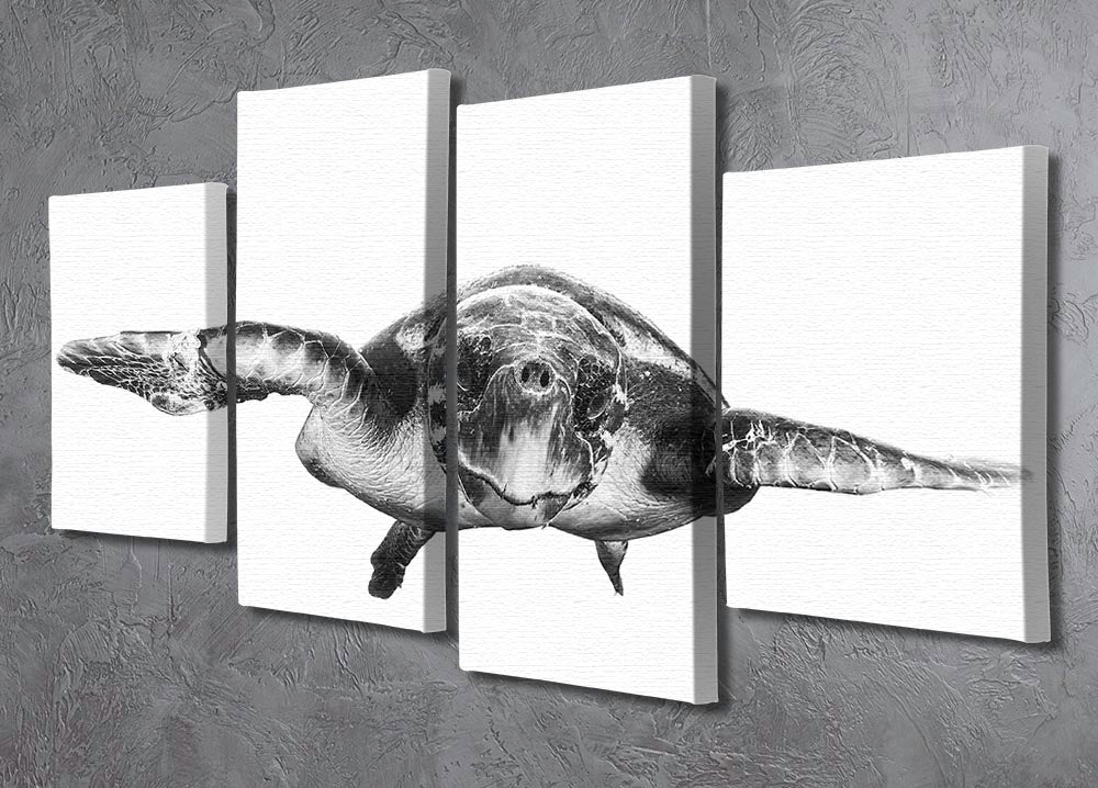White And Turtle 4 Split Panel Canvas - Canvas Art Rocks - 2