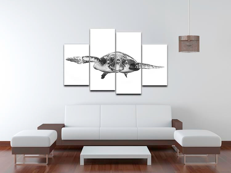 White And Turtle 4 Split Panel Canvas - Canvas Art Rocks - 3