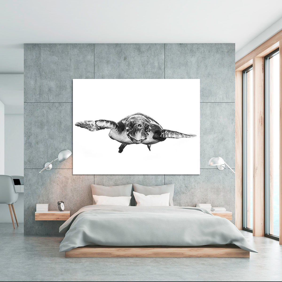 White And Turtle Canvas Print or Poster - Canvas Art Rocks - 5