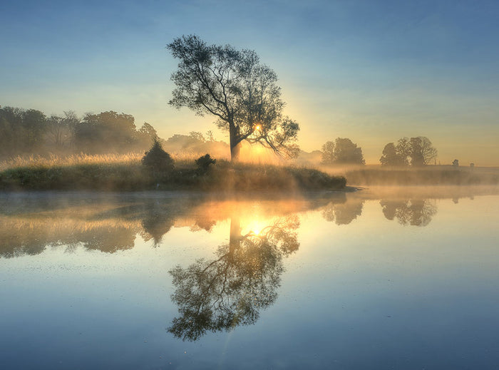 Morning Reflection Wall Mural Wallpaper