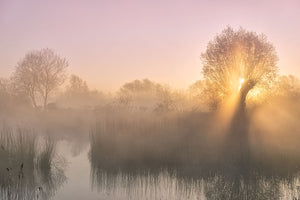 Silence In The Netherlands Wall Mural Wallpaper - Canvas Art Rocks - 1