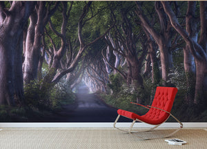 The Dark Hedges Wall Mural Wallpaper - Canvas Art Rocks - 2