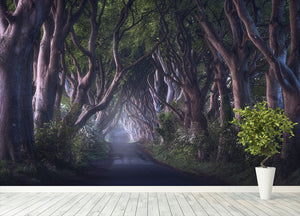 The Dark Hedges Wall Mural Wallpaper - Canvas Art Rocks - 4