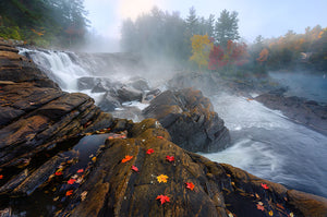 Autumn In Canada Wall Mural Wallpaper - Canvas Art Rocks - 1