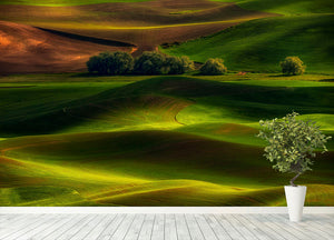 Spring In The Palouse Wall Mural Wallpaper - Canvas Art Rocks - 4