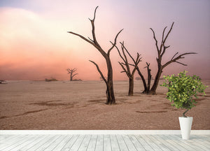 Fog In Deadvlei Wall Mural Wallpaper - Canvas Art Rocks - 4