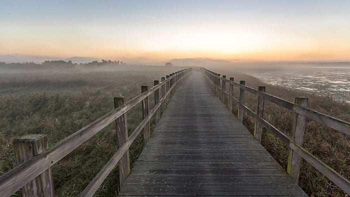 Morning Walk Wall Mural Wallpaper