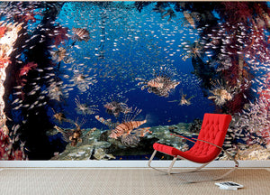 Lionfish Party Wall Mural Wallpaper - Canvas Art Rocks - 2